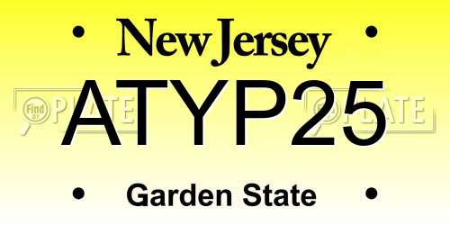 ATYP25 New Jersey License Plate