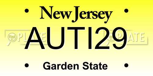 AUTI29 New Jersey License Plate