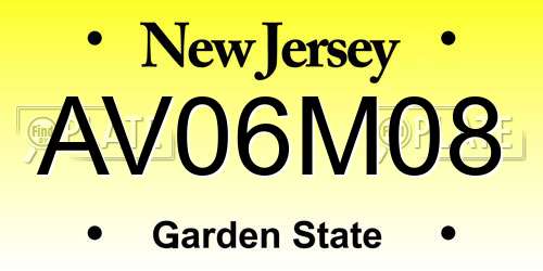 AV06M08 New Jersey License Plate