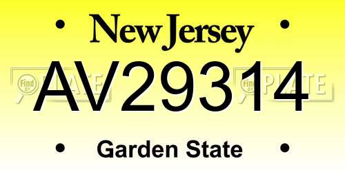 AV29314 New Jersey License Plate