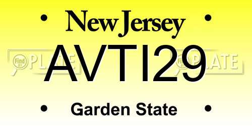 AVTI29 New Jersey License Plate
