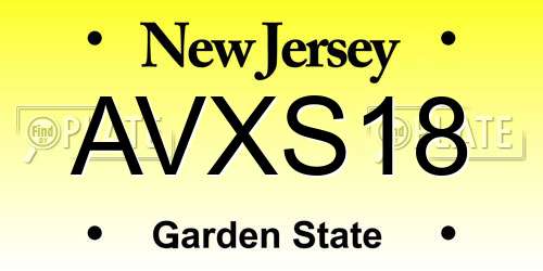 AVXS18 New Jersey License Plate