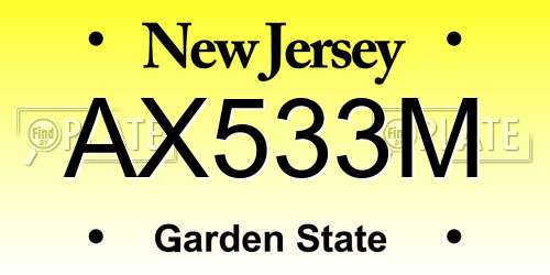 AX533M New Jersey License Plate
