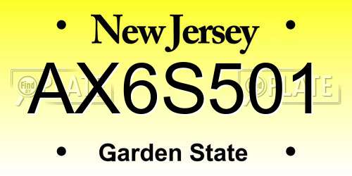 AX6S501 New Jersey License Plate