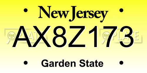 AX8Z173 New Jersey License Plate