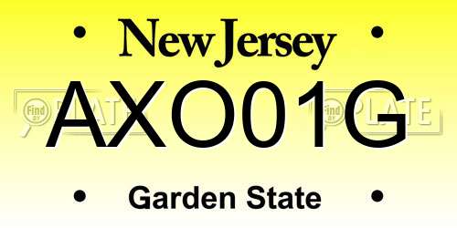 AXO01G New Jersey License Plate