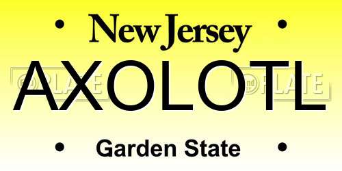 AXOLOTL New Jersey License Plate
