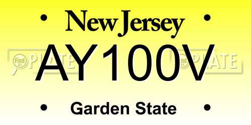 AY100V New Jersey License Plate
