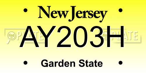 AY203H New Jersey License Plate