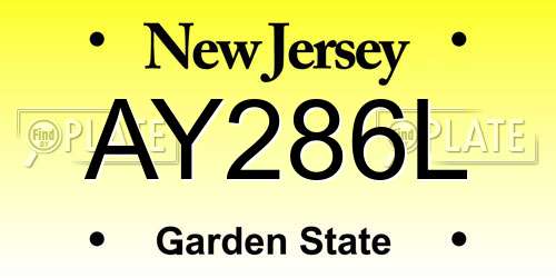 AY286L New Jersey License Plate