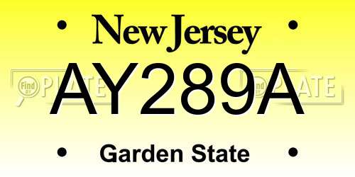 AY289A New Jersey License Plate