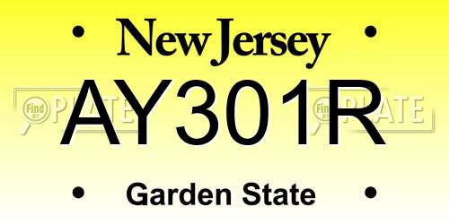 AY301R New Jersey License Plate