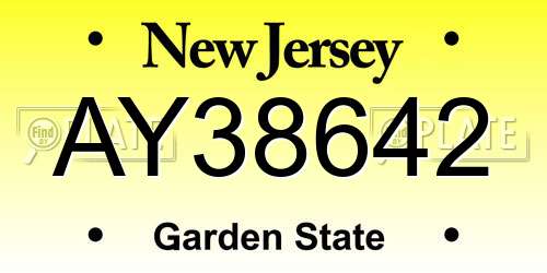 AY38642 New Jersey License Plate
