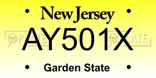 AY501X New Jersey License Plate