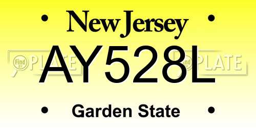 AY528L New Jersey License Plate