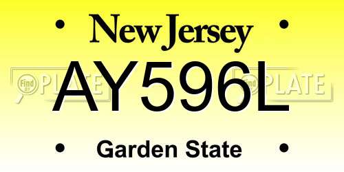 AY596L New Jersey License Plate