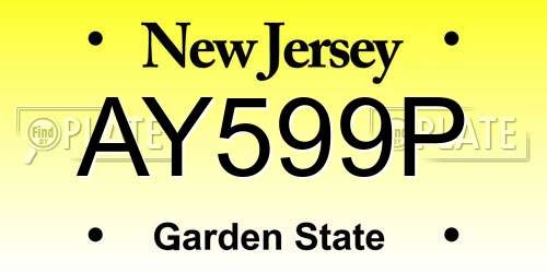 AY599P New Jersey License Plate