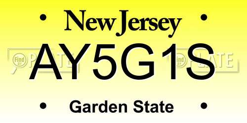 AY5G1S New Jersey License Plate