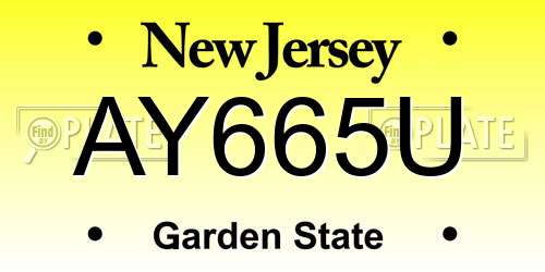 AY665U New Jersey License Plate