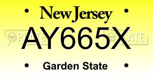 AY665X New Jersey License Plate