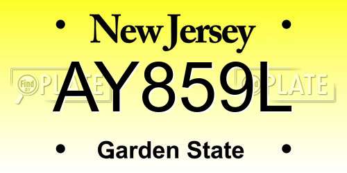 AY859L New Jersey License Plate