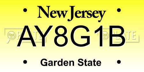 AY8G1B New Jersey License Plate