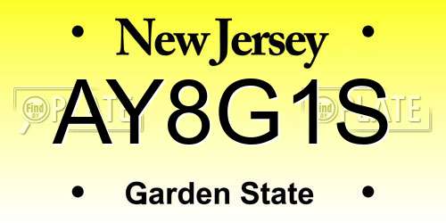 AY8G1S New Jersey License Plate