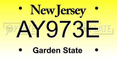 AY973E New Jersey License Plate