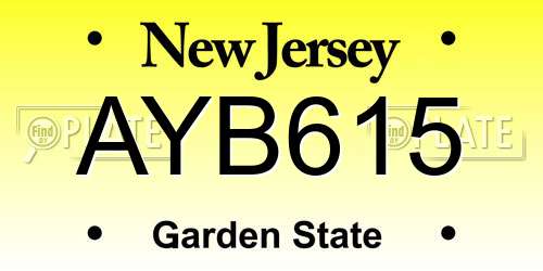 AYB615 New Jersey License Plate