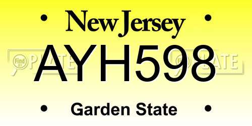AYH598 New Jersey License Plate
