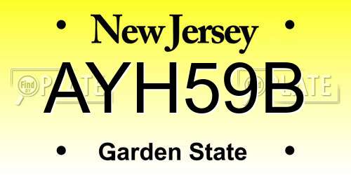 AYH59B New Jersey License Plate