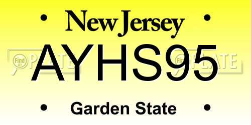 AYHS95 New Jersey License Plate