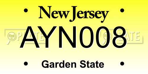AYN008 New Jersey License Plate