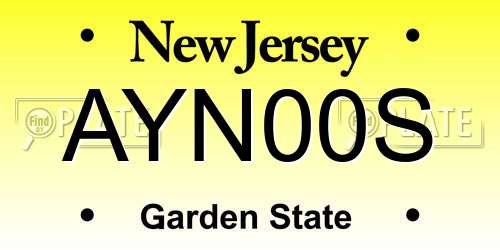 AYN00S New Jersey License Plate