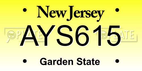 AYS615 New Jersey License Plate
