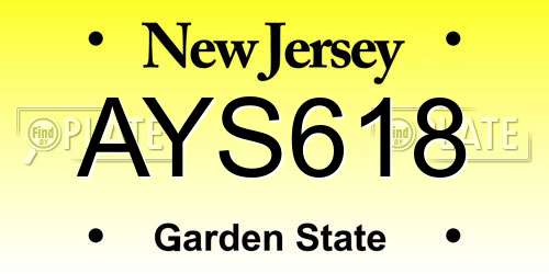 AYS618 New Jersey License Plate