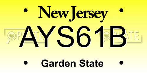 AYS61B New Jersey License Plate