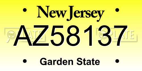 AZ58137 New Jersey License Plate