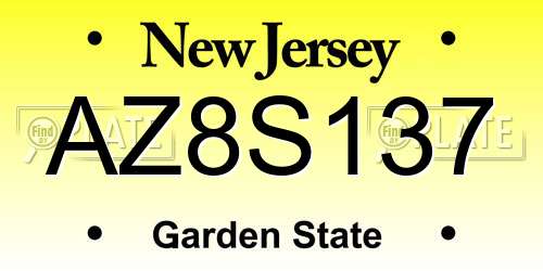 AZ8S137 New Jersey License Plate