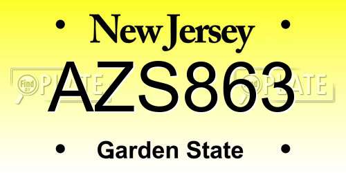 AZS863 New Jersey License Plate