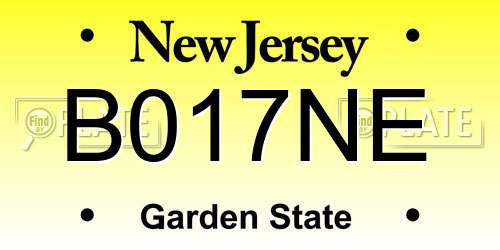 B017NE New Jersey License Plate