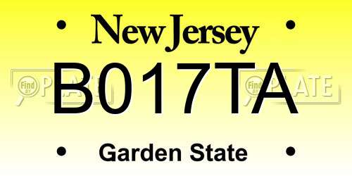 B017TA New Jersey License Plate