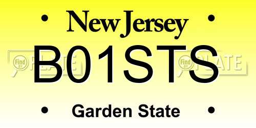 B01STS New Jersey License Plate