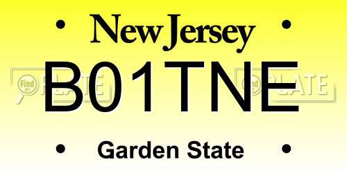 B01TNE New Jersey License Plate