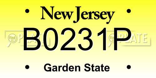 B0231P New Jersey License Plate