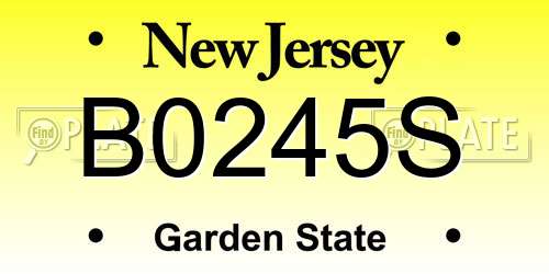 B0245S New Jersey License Plate
