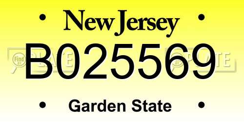 B025569 New Jersey License Plate