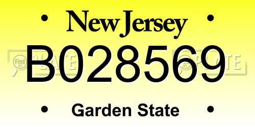 B028569 New Jersey License Plate