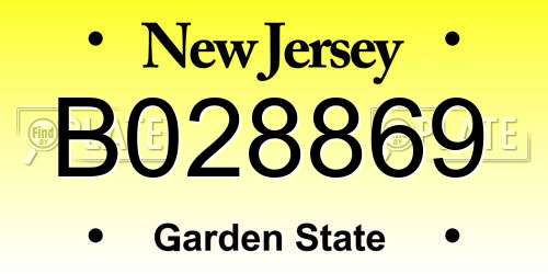 B028869 New Jersey License Plate