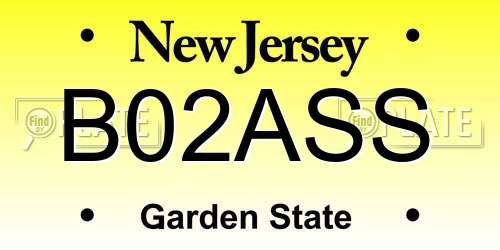 B02ASS New Jersey License Plate